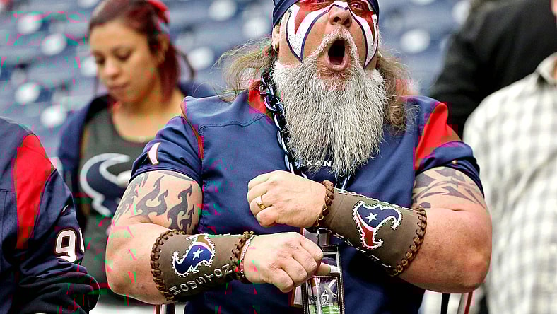 Texans fans