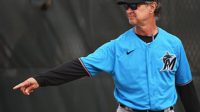 Don Mattingly, Mike Fiers