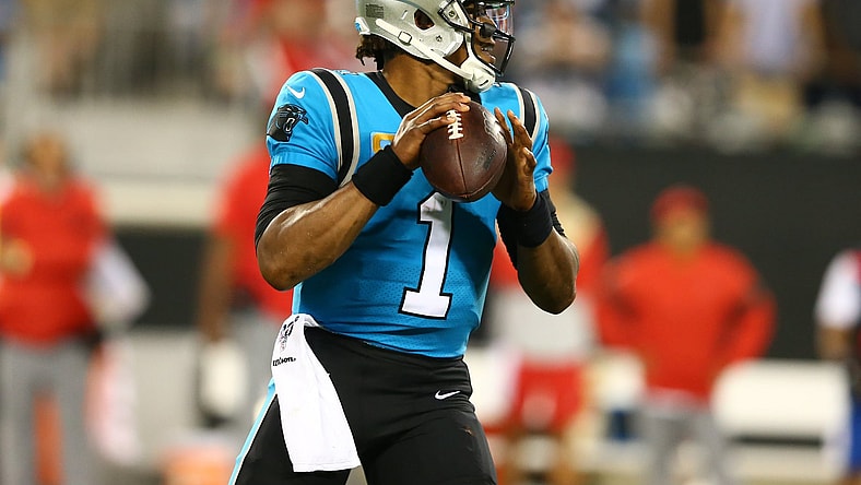 Cam Newton, NFL