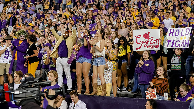 LSU fans at Tiger Stadium