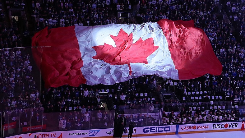 Canadian flag in Toronto crowd