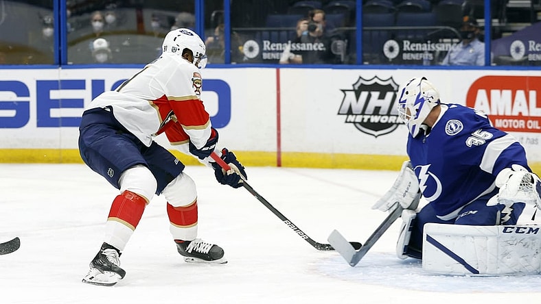 Feb 15, 2021; Tampa, Florida, USA; Florida Panthers left wing Anthony Duclair (91) shoots as Tampa Bay Lightning goaltender Curtis McElhinney (35) makes a save during the first period at Amalie Arena. Mandatory Credit: Kim Klement-USA TODAY Sports