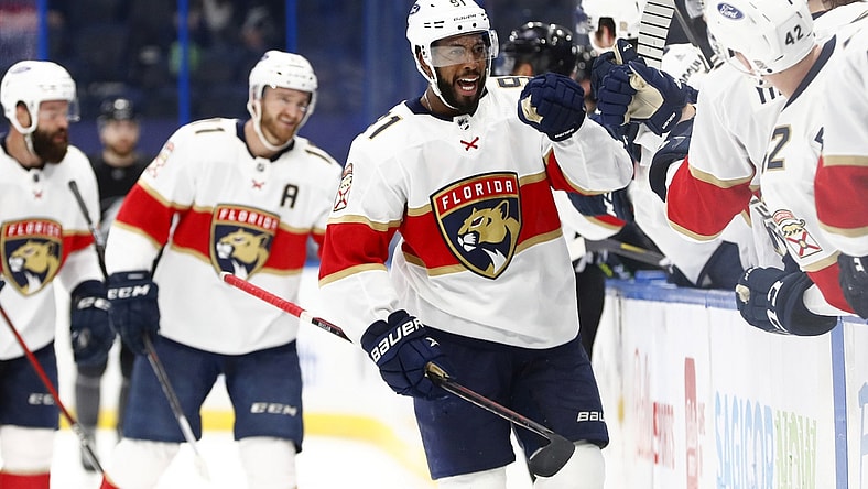Apr 17, 2021; Tampa, Florida, USA; Florida Panthers left wing Anthony Duclair (91) is congratulated as he scores a goal against the Tampa Bay Lightning during the third period at Amalie Arena. Mandatory Credit: Kim Klement-USA TODAY Sports
