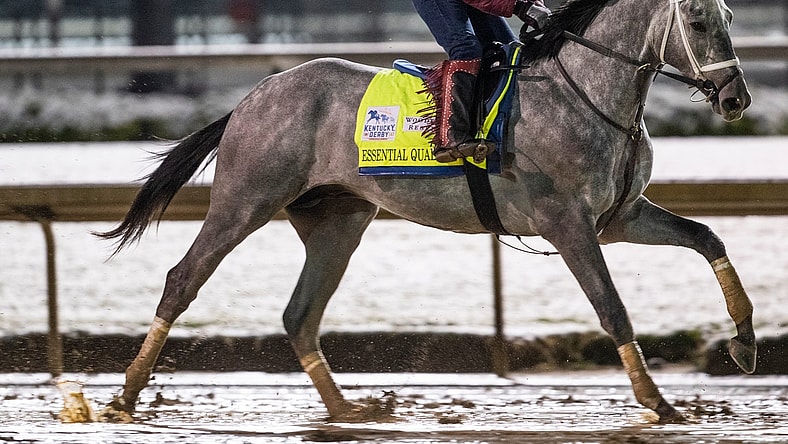 Kentucky Derby favorite Essential Quality gallops before dawn on the track at Churchill Downs. April 21, 2020

Af5i6154