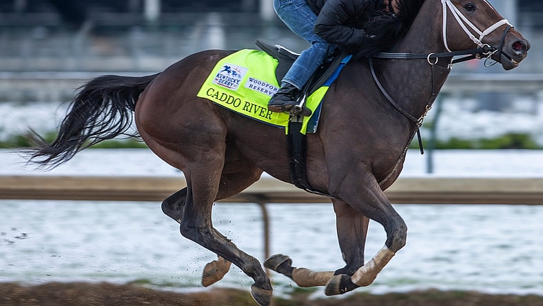 Kentucky Derby hopeful Caddo River gallops on the track at  Churchill Downs. April 21, 2020

Aj4t4250