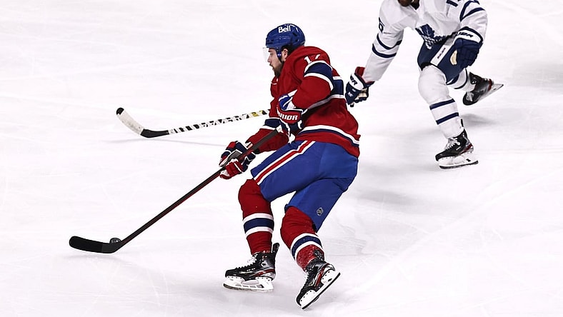 Apr 28, 2021; Montreal, Quebec, CAN; Montreal Canadiens right wing Josh Anderson (17) plays the puck against Toronto Maple Leafs center Alexander Kerfoot (15) during the first period at Bell Centre. Mandatory Credit: Jean-Yves Ahern-USA TODAY Sports