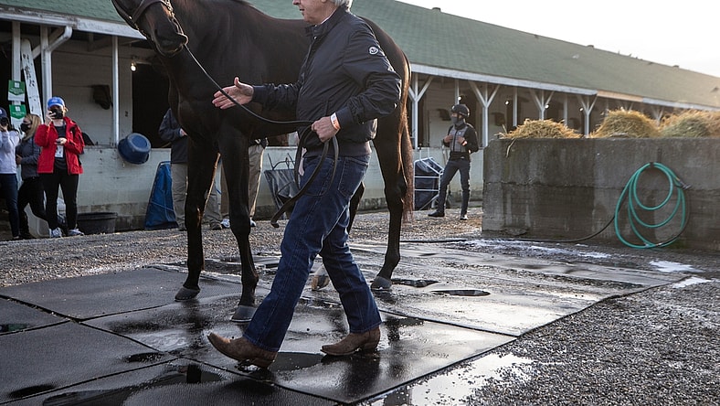 Bob Baffert brought Kentucky Derby winner Medina Spirit out for fans to see on the morning after the race. Medina Spirit is Baffert's seventh Kentucky Derby winner. May 2, 2021

Aj4t9170