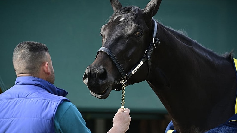 May 12, 2021; Baltimore, MD, USA;  Medina Spirit stands out side the stakes barn after the morning work out at Pimlico Race Course. Mandatory Credit: Tommy Gilligan-USA TODAY Sports