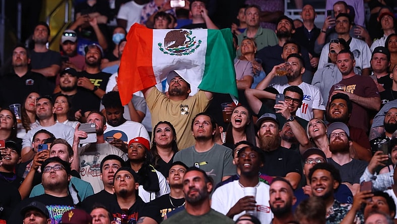 Jun 12, 2021; Glendale, Arizona, USA; A fan of Brandon Moreno holds a Mexico flag in the crowd during UFC 263 at Gila River Arena. Mandatory Credit: Mark J. Rebilas-USA TODAY Sports