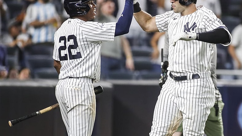Jul 18, 2021; Bronx, New York, USA;  New York Yankees right fielder Ryan LaMarre (39) is greeted by center fielder Greg Allen (22) after hitting a two-run home run in the eighth inning against the Boston Red Sox at Yankee Stadium. Mandatory Credit: Wendell Cruz-USA TODAY Sports