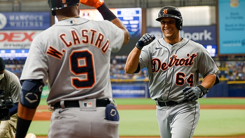 Sep 18, 2021; St. Petersburg, Florida, USA; Detroit Tigers catcher Dustin Garneau (64) is congratulated by shortstop Willi Castro (9) after hitting a home run in the second inning against the Tampa Bay Rays at Tropicana Field. Mandatory Credit: Nathan Ray Seebeck-USA TODAY Sports
