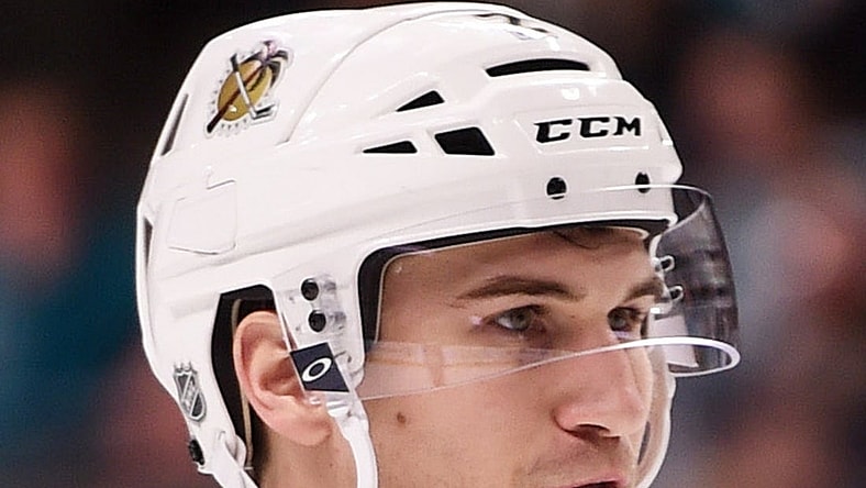 Ottawa Senators NHL defenseman Josh Brown