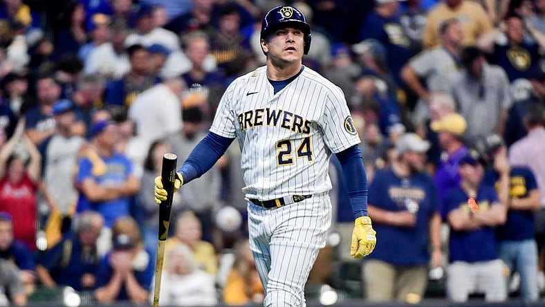 Oct 9, 2021; Milwaukee, Wisconsin, USA; Milwaukee Brewers right fielder Avisail Garcia (24) reacts after striking out against the Atlanta Braves during the eighth inning during game two of the 2021 NLDS at American Family Field. Mandatory Credit: Benny Sieu-USA TODAY Sports