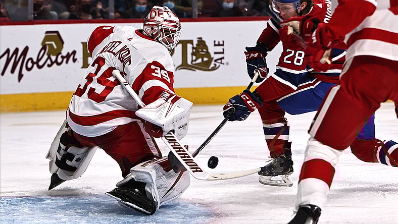 Nov 2, 2021; Montreal, Quebec, CAN; Detroit Red Wings goaltender Alex Nedeljkovic (39) makes a save against Montreal Canadiens center Christian Dvorak (28) during the second period at Bell Centre. Mandatory Credit: Jean-Yves Ahern-USA TODAY Sports