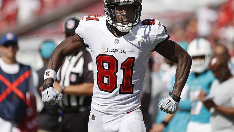 Oct 10, 2021; Tampa, Florida, USA; Tampa Bay Buccaneers wide receiver Antonio Brown (81) celebrates as he catches the ball during the second half at Raymond James Stadium. Mandatory Credit: Kim Klement-USA TODAY Sports
