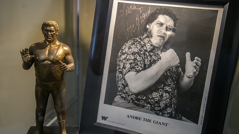 andre the giant
