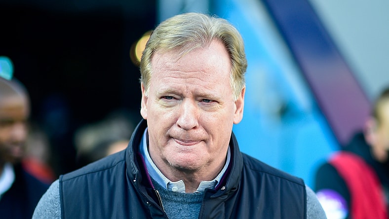 Jan 22, 2022; Nashville, Tennessee, USA; NFL commissioner Roger Goodell during a AFC Divisional playoff football game at Nissan Stadium. Mandatory Credit: Steve Roberts-USA TODAY Sports