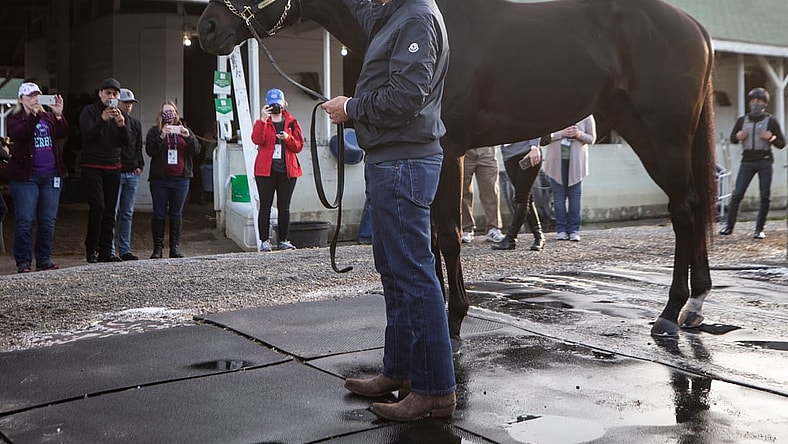 Trainer Bob Baffert holds Medina Spirit the morning after winning his seventh Kentucky Derby with the horse. One week later it was announced that Medina Spirit tested positive for an abundance of an anti-inflammatory drug following the race. April 26, 2021

Aj4t9113