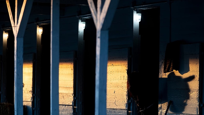 The rising sun casts a shadow of a horse's head in Steve Margolis' barn on the backside of Churchill Downs. April 24, 2022

Af5i4033