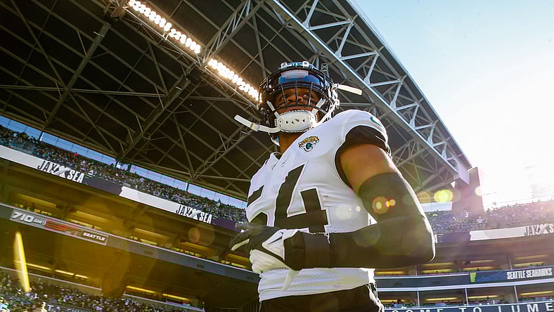 carolina panthers, damien wilson