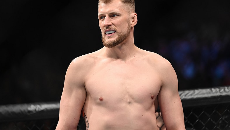 ufc fight night, alexander volkov, Jairzinho rozenstruik