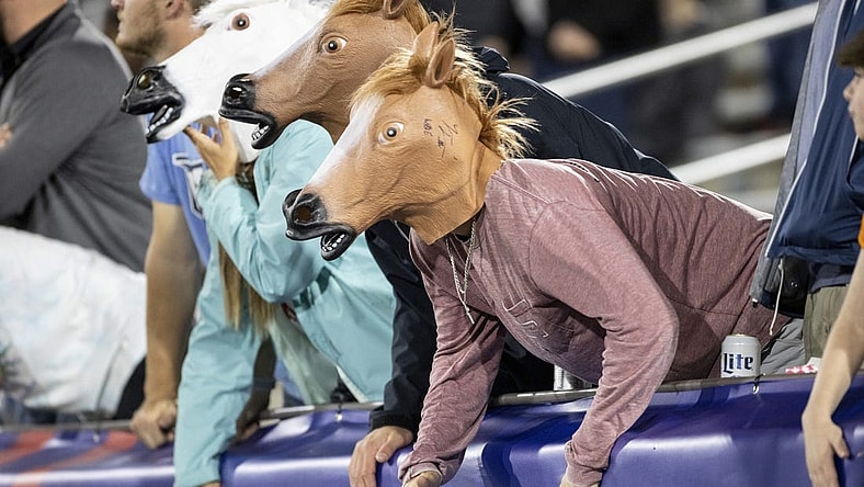 May 7, 2022; Birmingham, AL, USA; Birmingham Stallions fans cheer during the second half at Protective Stadium. Mandatory Credit: Vasha Hunt-USA TODAY Sports