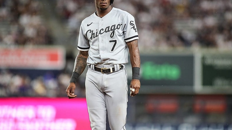 May 22, 2022; Bronx, New York, USA; Chicago White Sox shortstop Tim Anderson (7) at Yankee Stadium. Mandatory Credit: Wendell Cruz-USA TODAY Sports