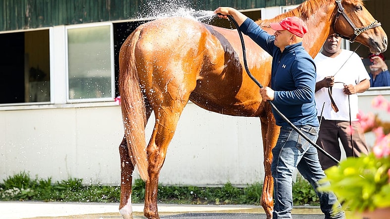 Jun 8, 2022; Elmont, NY, USA; Belmont horse Rich Strike gets a bath from staff at Belmont Park Racetrack. Mandatory Credit: Jessica Alcheh-USA TODAY Sports