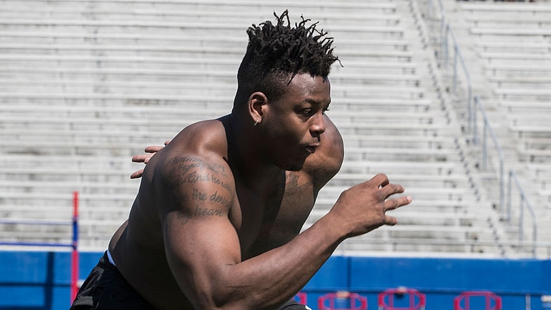 Jaylon Ferguson, Baltimore Ravens