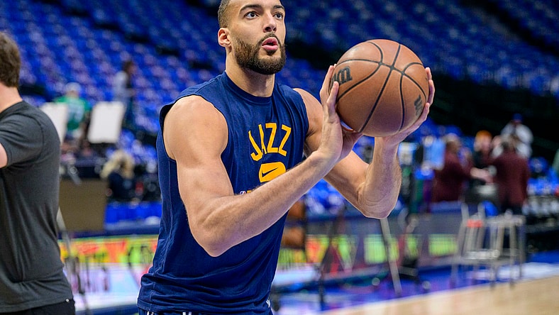 chicago bulls, rudy gobert