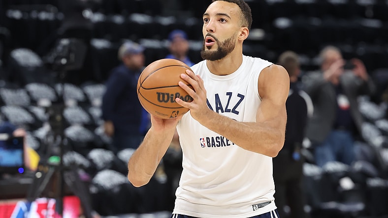 minnesota timberwolves, rudy gobert