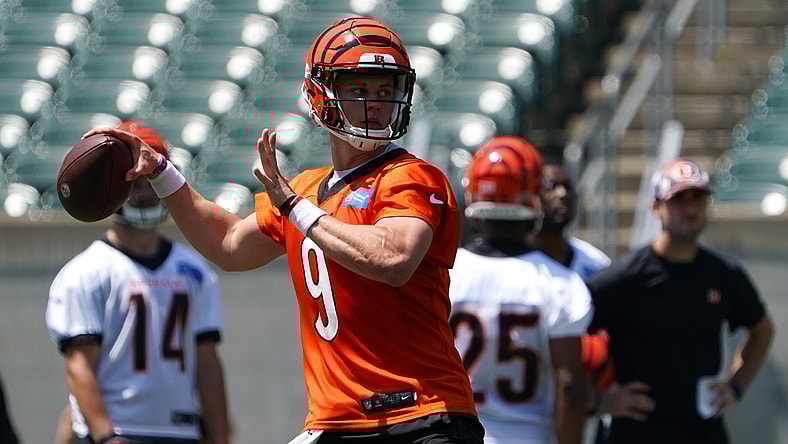 Bengals training camp