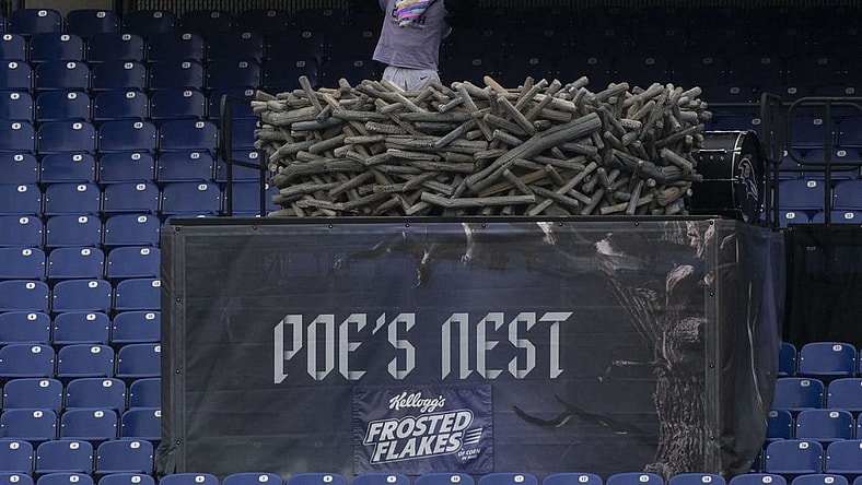 Oct 11, 2020; Baltimore, Maryland, USA; Baltimore Ravens mascot Poe in his nest during the game against the Cincinnati Bengals at M&T Bank Stadium. Mandatory Credit: Tommy Gilligan-USA TODAY Sports