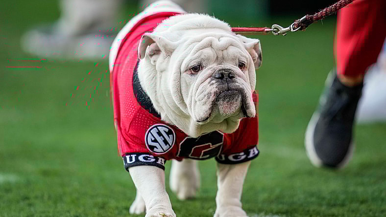 NCAA Football: Auburn at Georgia