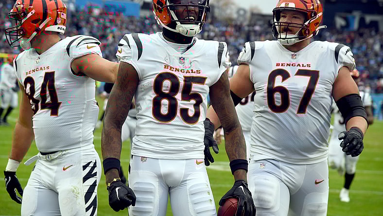 nfl wide receiver rankings: tee higgins