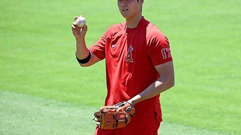 shohei ohtani, los angeles dodgers