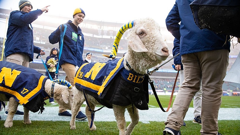 Dec 14, 2019; Philadelphia, PA, USA; Navy mascot on the field during pregame ceremonies before the Army Navy game between the Army Black Knights and the Navy Midshipmen at Lincoln Financial Field. Mandatory Credit: Bill Streicher-USA TODAY Sports