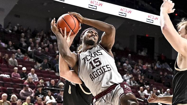 Dec 20, 2022; College Station, Texas, USA; Texas A&M Aggies forward Henry Coleman III (15) is fouled by Wofford Terriers guard Jackson Sivills (0) during the second half at Reed Arena. Mandatory Credit: Maria Lysaker-USA TODAY Sports