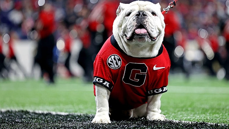 Jan 10, 2022; Indianapolis, IN, USA; The Georgia Bulldogs mascot Uga on the sideline during the first half in the 2022 CFP college football national championship game between the Alabama Crimson Tide and the Georgia Bulldogs at Lucas Oil Stadium. Mandatory Credit: Trevor Ruszkowski-USA TODAY Sports