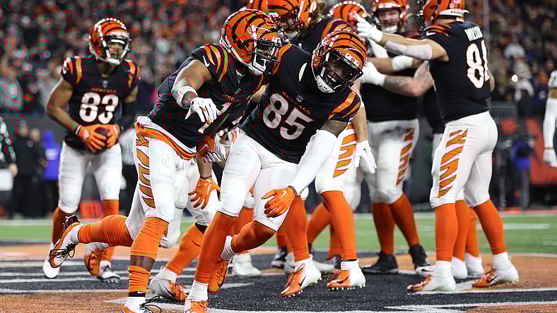 NFL: Baltimore Ravens at Cincinnati Bengals