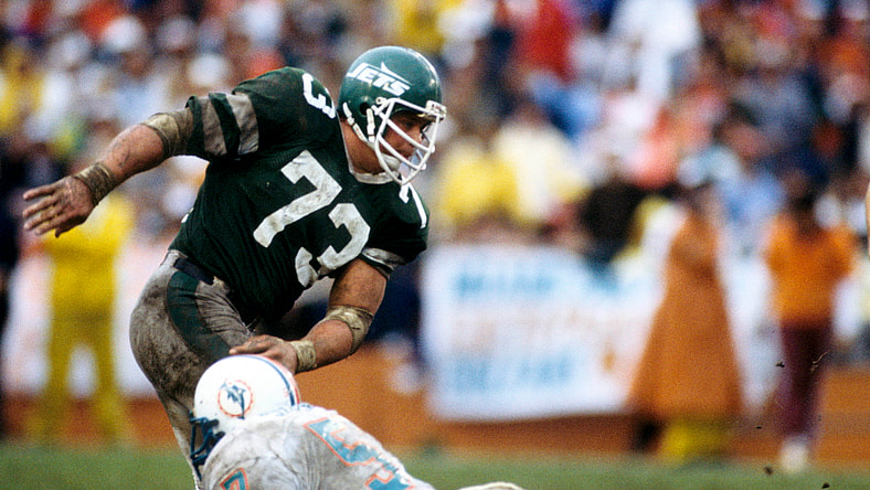 pro football hall of fame: joe klecko