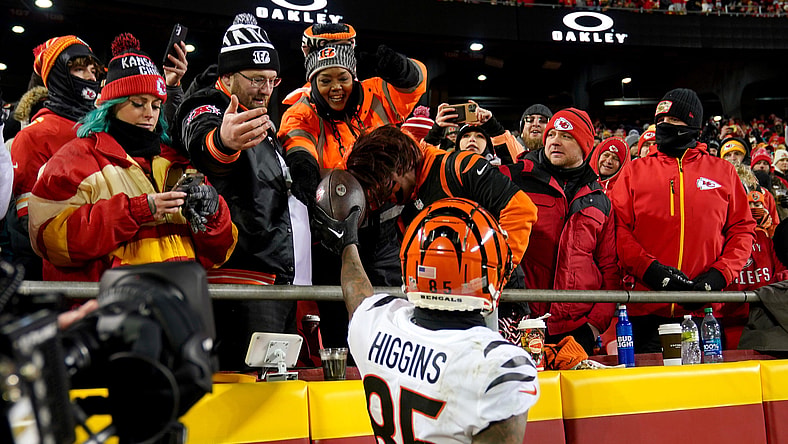 Tee Higgins