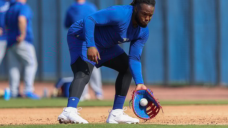 vladimir guerrero jr.