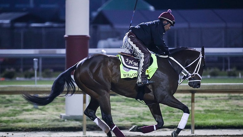 Wild On Ice works out on Wednesday morning April 25, 2023 at Churchill Downs in Louisville, Ky.

Kentucky Derby horses 2023