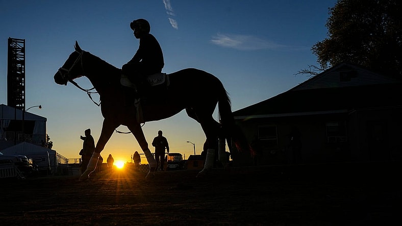 May 3, 2023; Louisville, KY, USA; A horse walks towards the track on the backside Wednesday morning at Churchill Downs on May 3, 2023, in Louisville, Ky. Mandatory Credit: Matt Stone-USA TODAY Sports