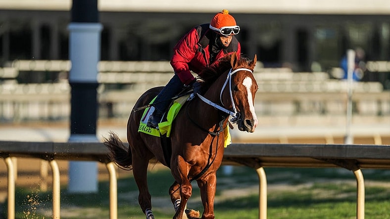 Kentucky Derby contender Mage with exercise rider J.J.Delgado aboard work at Churchill Downs Wednesday morning May 3, 2023, in Louisville, Ky. The horse is trained by Gustavo Delgado.

2023 Kentucky Derby Horses