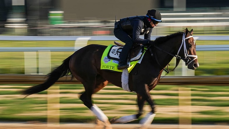 Forte during a workout at Churchill Downs on Friday.