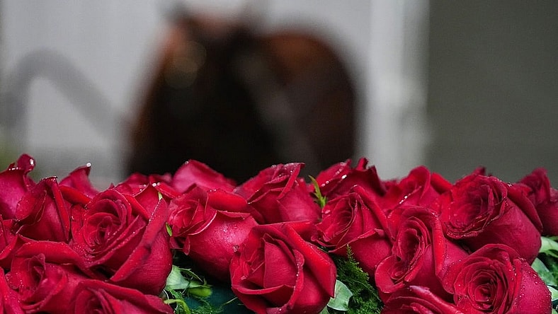 The blanket of roses is laid out in front of the stall of Mage on Sunday, May 7, 2023 at Churchill Downs in Louisville.