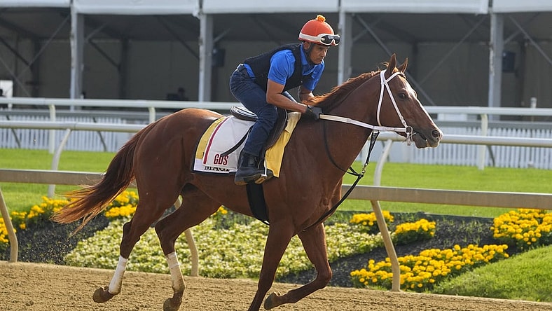 May 15, 2023; Baltimore, MD, USA; Preakness Stakes contender Mage trains Monday morning at Pimlico Race Track. Mandatory Credit: Gregory Fisher-USA TODAY Sports