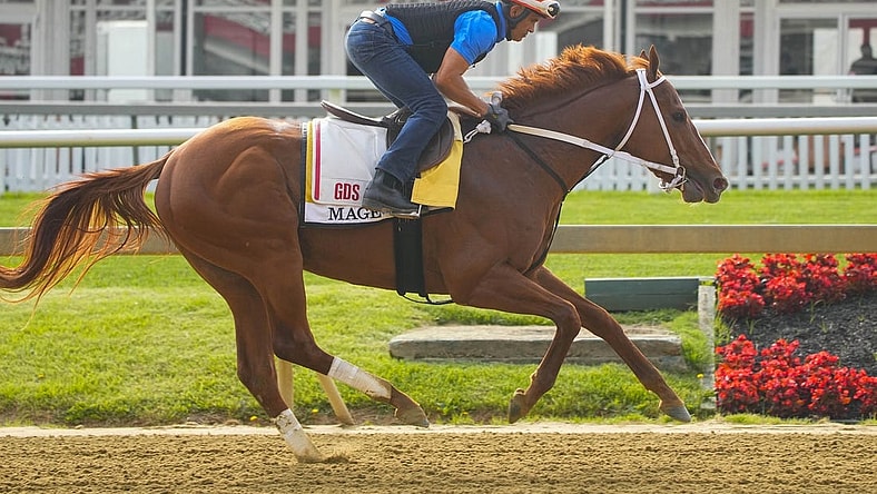 May 16, 2023; Baltimore, MD, USA; Preakness Stakes contender Mage trains Tuesday morning at Pimlico Race Track. Mandatory Credit: Gregory Fisher-USA TODAY Sports
